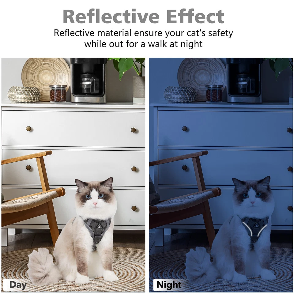 HBN Juego de Arnés y Correa para Gato para Caminar, Chaleco Ajustable Suave a Prueba de Escape Har Foto 4 de 4
