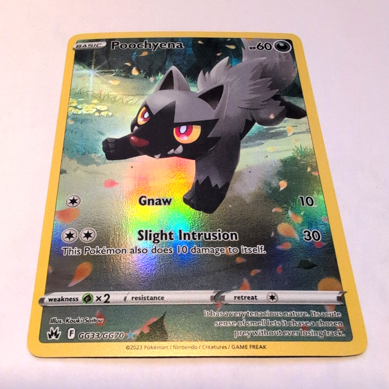 Poochyena GG33/GG70 Crown Zenith: Galarian Gallery Holo NM Pokemon TCG