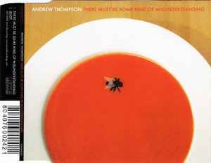 Andrew Thompson (5) - There Must Be Some Kind Of Misunderstanding, (CD)