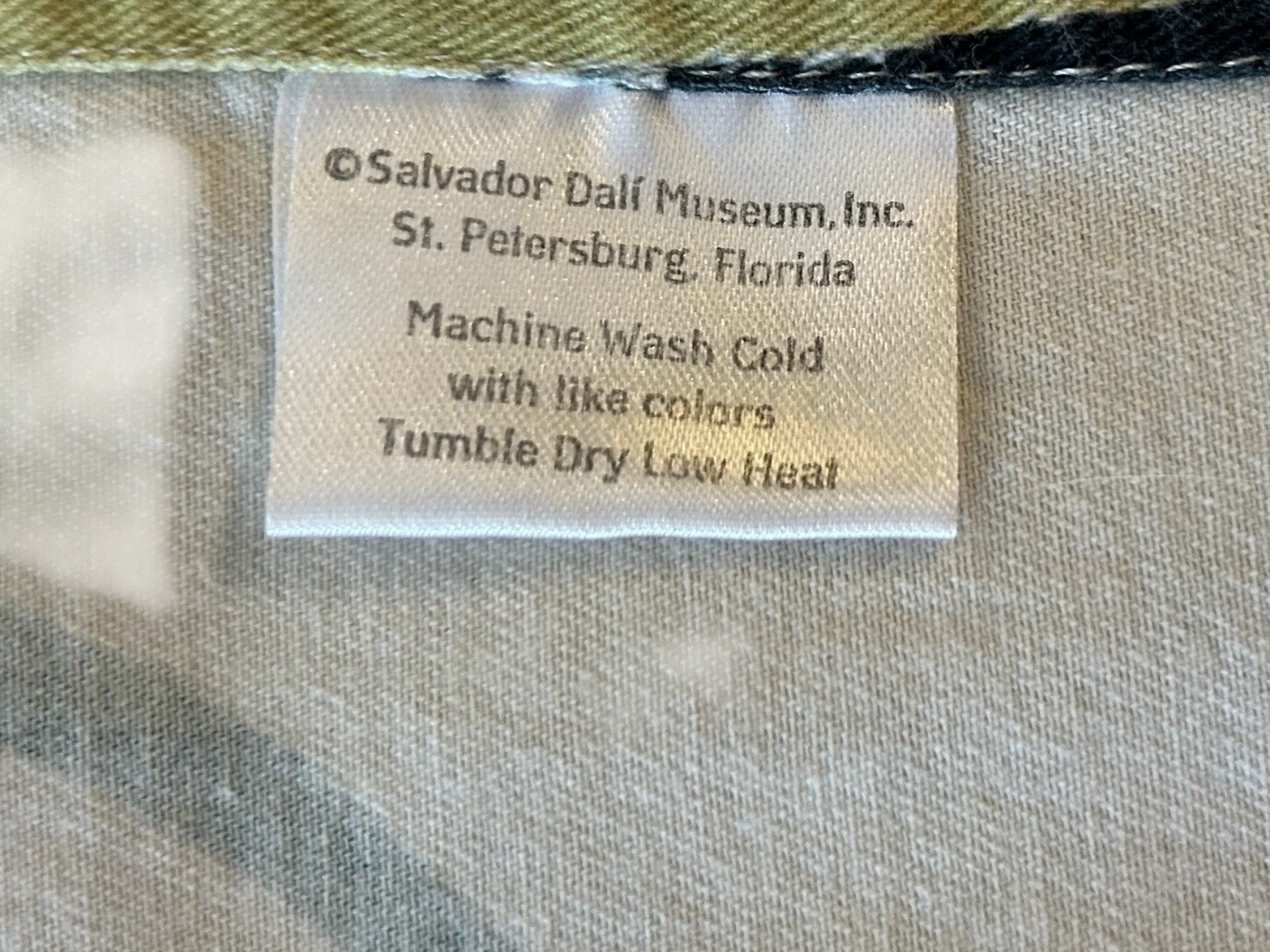 Kitchen Towel Salvador Dali Museum Colorful Fruit Vegetable USA Cotton