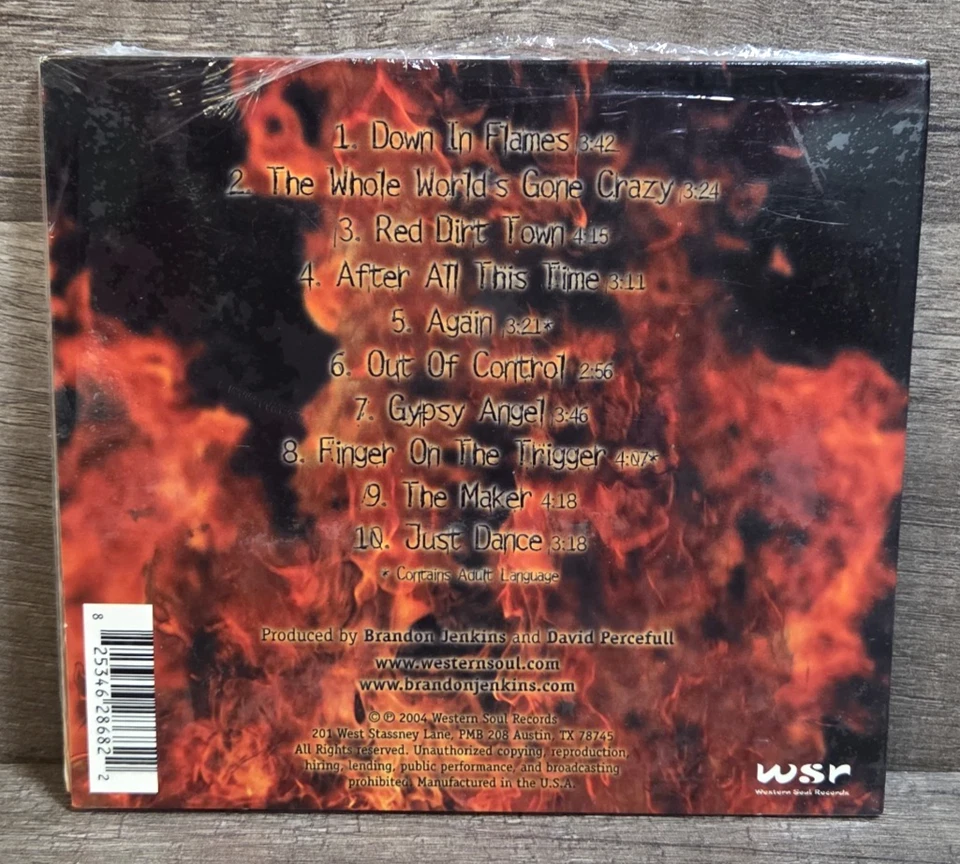 Sealed-Rare-Brandon Jenkins-Down In Flames-Rock CD-2004 WSR 8253462868 - Image 2 of 3