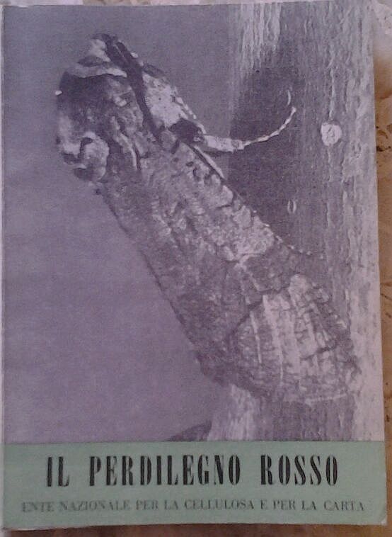 DAS ROTE PERLIHOLZ Nationale Einrichtung für Zellstoffpapier 1957 Pappel Buch über