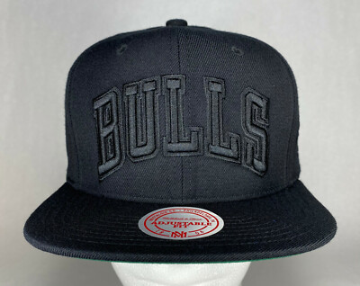 Mitchell & Ness NBA Chicago Bulls Jordan 12 Snapback Hat, Cap, New