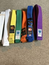 Martial Arts Belts Taekwondo/Karate/Judo/BJJ Various Colors and Sizes Lot of 9