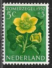 HICK GIRL-MINT NETHERLANDS STAMP   SC#B239  1952  FLOWER ISSUE   C790