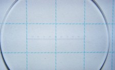 Zeiss Leitz etc. Okularmikrometer 10 mm in 100 Teilen Messokular reticle Ø 19mm