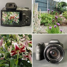 Sony Cyber-shot DSC-HX200V 18.2MP Exmor R Zeiss 30x Zoom Test Pics & Video