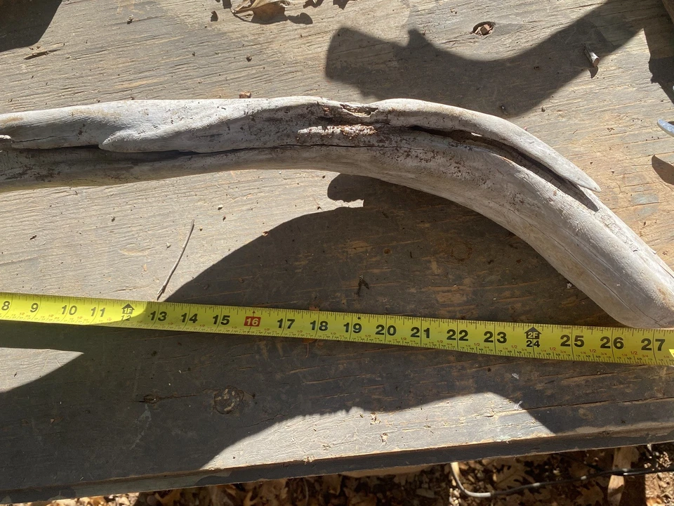 All-Natural manzanita driftwood , 27” branch for Reptiles, Birds, or Fishtank  - Image 3 of 4