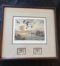 1988 JOHN COWAN FLYING DOUBLE DUCK STAMPS & PRINT SIGNED L.E. 2462/6075 FRAME 1O