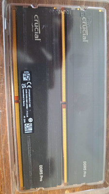 Crucial Pro DDR5 SDRAM 64GB (2x32GB) 5600 UDIMM CP2K16G56C46U5.C16D
