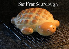 Sourdough Starter San Francisco style homemade bread