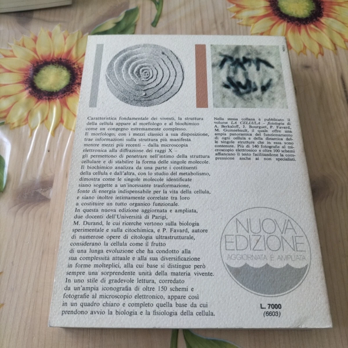 Foto 11 di 11