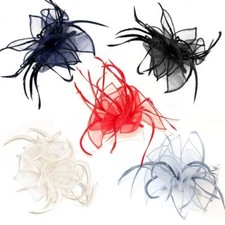 Feather Fascinator Looped Net Comb Weddings Funeral Ladies Day Royal Ascot
