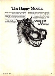 Chang-a-Bit by Farragut Vintage Print Ad Ephemera Wall Decor