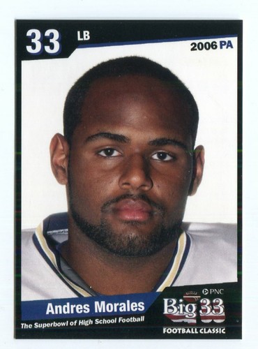 2006 Big 33 PA Pennsylvania SINGLES Choose One * PSU * PITT Panthers 10+ FREE SH - Picture 21 of 36