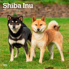 Calendario Shiba Inu 2026 | Quadrato 30 cm x 30 cm | 100% Plastic Free