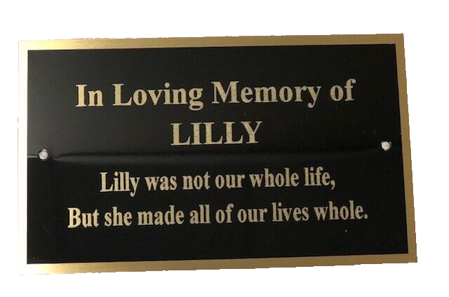 ENGRAVED BRASS PLATE PICTURE FRAME ART MEMORIAL LABEL NAME TAG 3