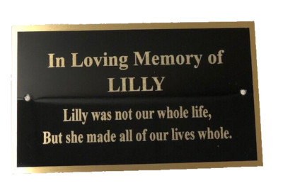 ENGRAVED BRASS PLATE PICTURE FRAME ART MEMORIAL LABEL NAME TAG 3'' x 5'' FAST SHIP
