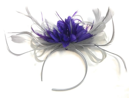 Silver Grey and Cadbury Purple 