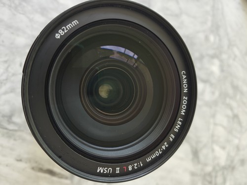 Lente zoom Canon EF 24-70 mm F1:2,8L II USM - Imagen 4 de 11