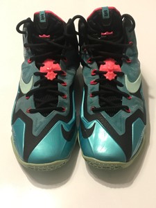 lebron james 11 south beach