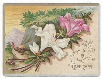 Vintage Willett's Favorite Coffee Trade Card 4 1/2'' x 6''