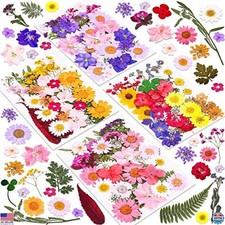140 Pcs Dried Pressed Flowers  Leaves for Resin Crafts, Scrapbooking, DIY Art
