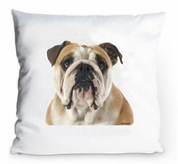 Kissenbezug 40X40Cm - Englische Bulldogge - Portrait Dogge Hund Fun Deko
