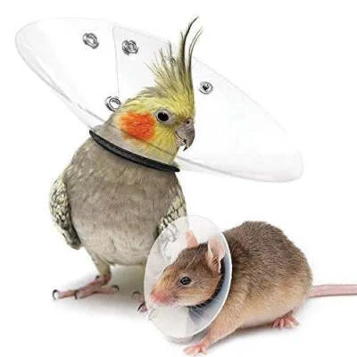 KVP Elizabethan Bird Saf-T E-Collar Avian Cone Neck Collar 2.0"-2.75" 6"Diameter