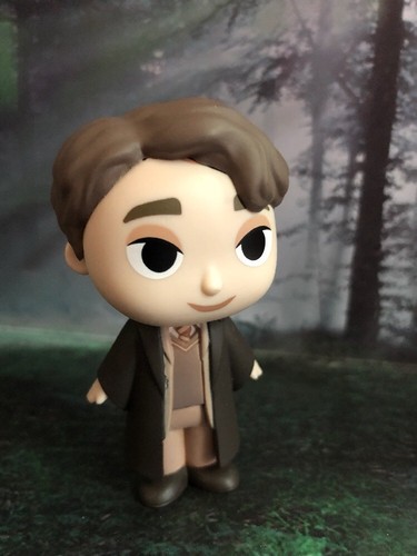 FUNKO HARRY POTTER SERIES 3 MYSTERY 