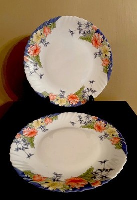 2 Luminarc Arcopal Florine Swirl - Dinner Plates Floral Dia  11'' Pretty