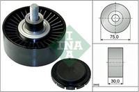 NEU - Schaeffler INA 532075110 Umlenk-/FüHrungsrolle, Keilrippenriemen FüR BMW
