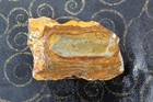 Picture Jasper Rough - Display - Lapidary - 6.4 Oz's  - Nice! — photo 4