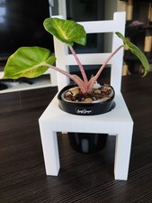 Blumenhocker Übertopf Monstera Alocasia Philodendron Geschenk Stuhl Deko Garten
