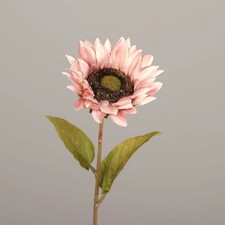 DPI Sonnenblume hell salmon 60 cm  Sonnenblum...