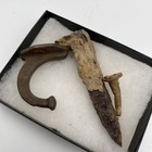 Antique Civil War Dug Artifacts (Virginia)  — photo 8