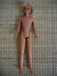 barbie fxg95