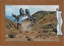 Rittenhouse 2020 Game of Thrones Season 8 Sketch Card by Louise Draper Stallion