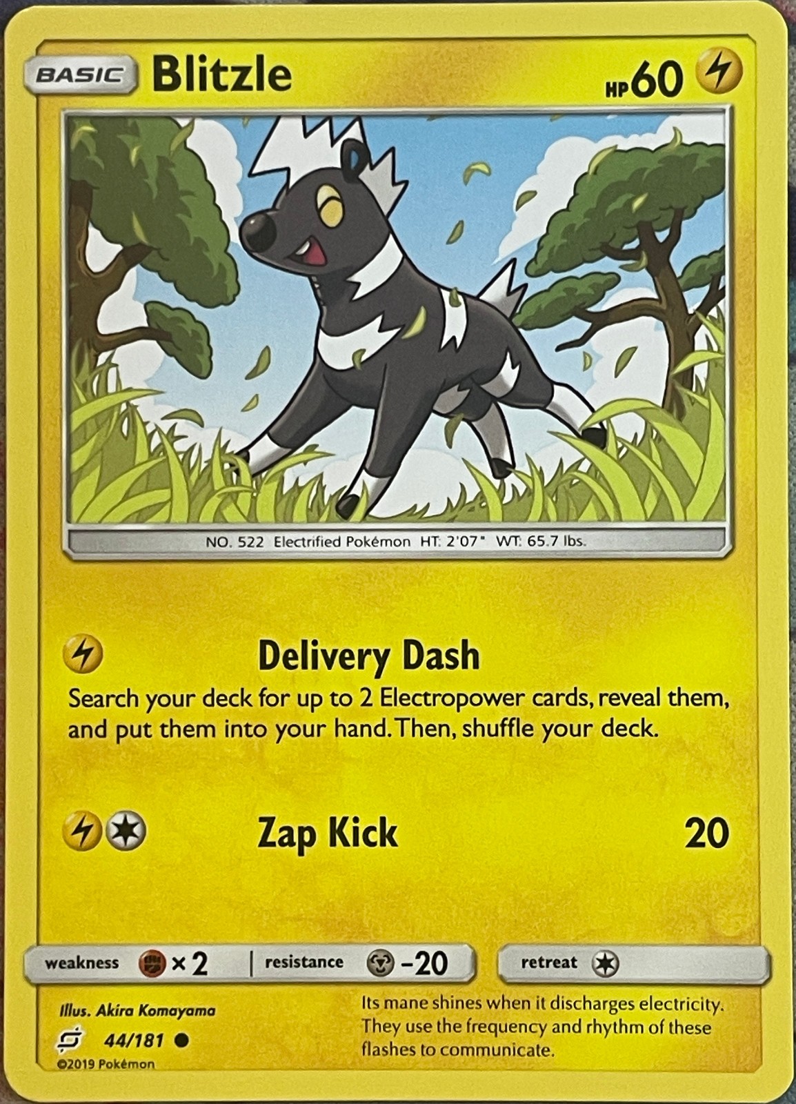 Blitzle - 44/181 - Team Up Pokemon 2019