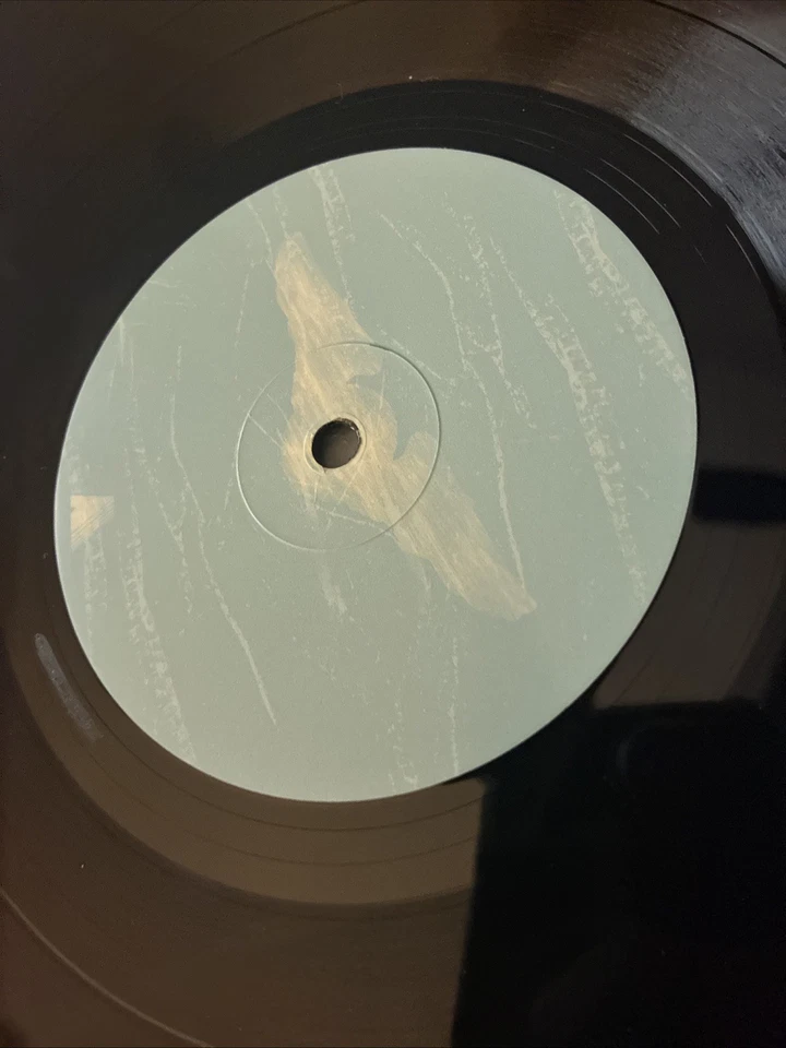 Pilotwings 64 Vinyl LP Record VGM OST N64 Blue White Splatter NOT MOONSHAKE - Image 3 of 4