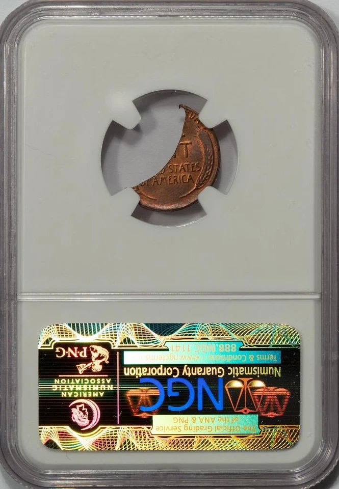 1955 NGC M64 55% Double Curved Clips Lincoln Cent Mint Error Rarer Than 1955 DD - Image 4 of 4