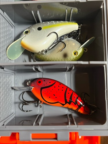 Lot de 6 boîtes de pêche pour appâts de pêche - Capot de pêche et