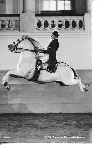 "Horse. Viien, Spanische Reitschule. Kapriola" Old vintage Austrial photo postca