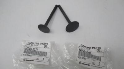 Valvola Di Scarico Originale Kawasaki 12005-0777 - Parte OEM Per Moto
