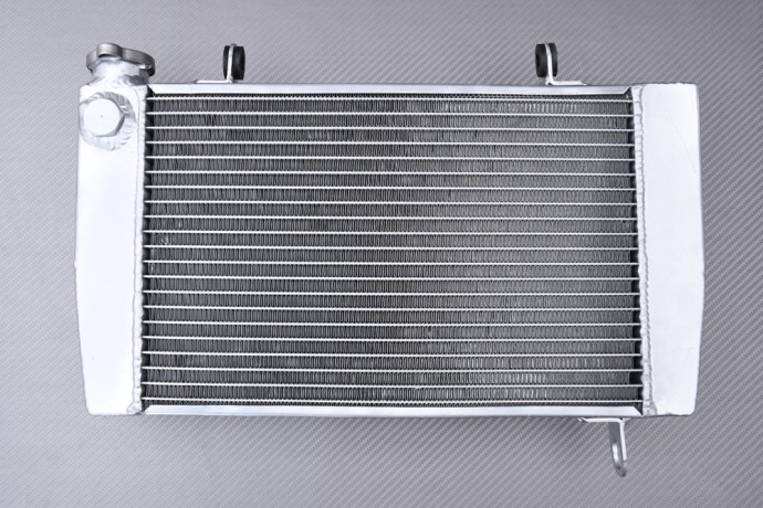 Radiateur eau Racing YAMAHA TZ 250 revivez la légende des Grand Prix avec le bloc 4DP