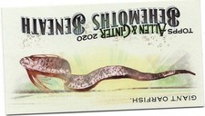 2020 Topps Allen & Ginter Baseball Behemoths Beneath Giant Oarfish MGB-10 