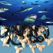 Lotto 3 Collane Denti Squalo mm 20-28 Pescecani Pesci Cartilaginei Condroitti