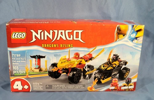 LEGO NINJAGO: Dragon's Rising