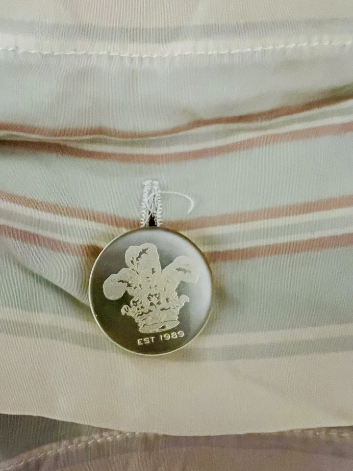 Rachel Ashwell Vintage Shabby Chic Rayas Bemberg Aqua Volantes Euro Sham 26x26 Foto 3 de 3