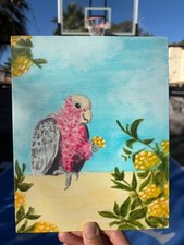 Australian Pink and Grey Galah Eating Yellow Flower (Acrylic Painting) 